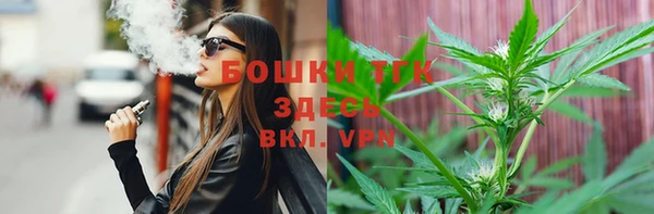 стафф Вязьма