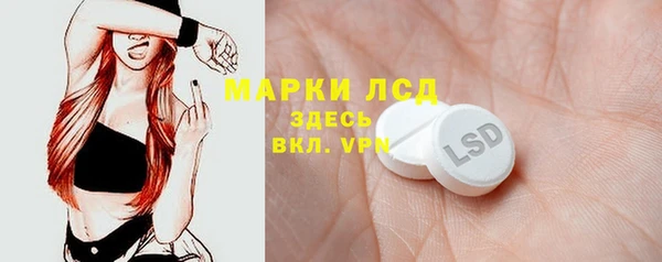 стафф Вязьма