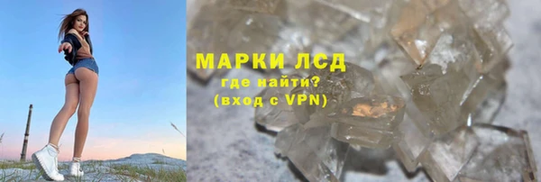 стафф Вязьма