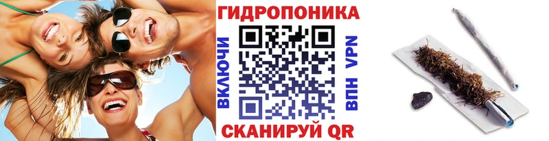 Шишки марихуана конопля  mega ТОР  Горбатов  как найти наркотики 